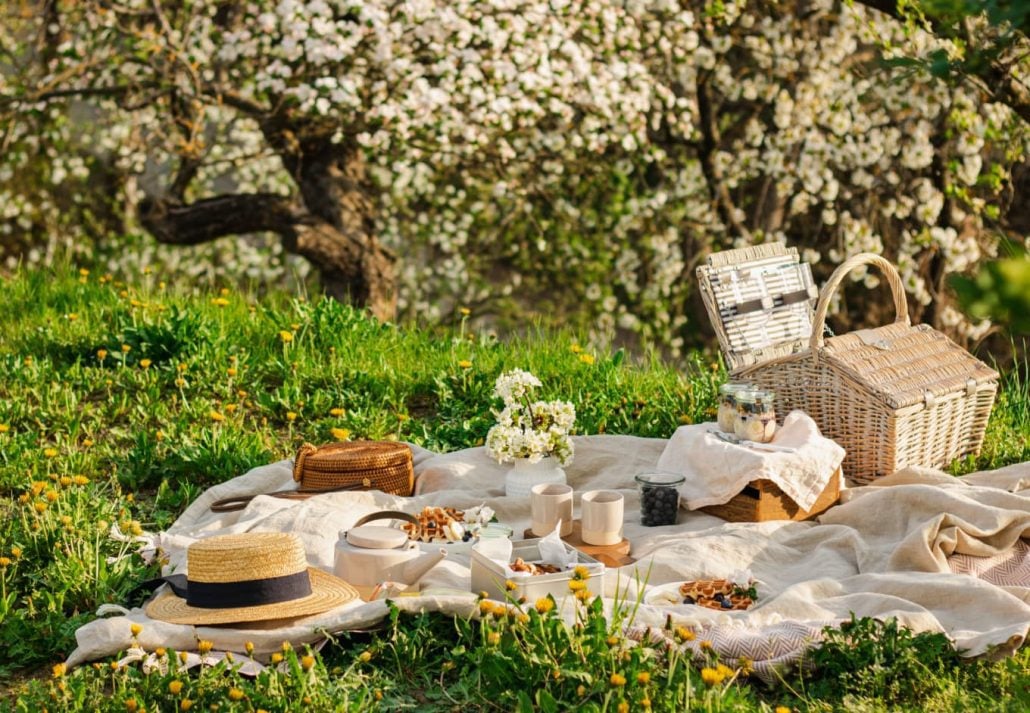 picnic in the park