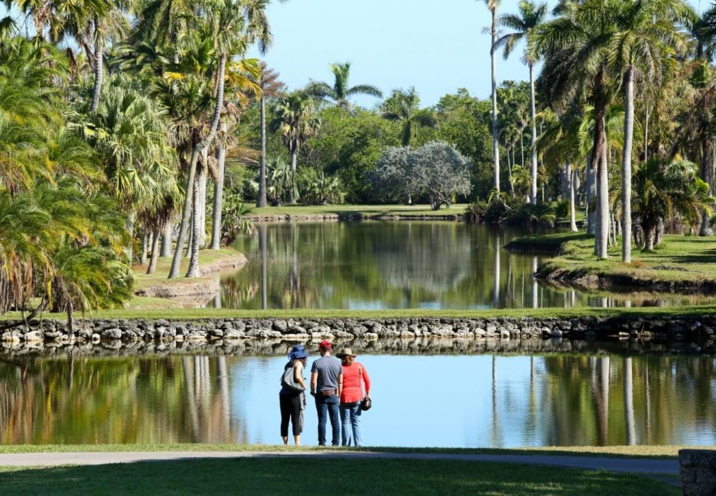 Tourists enjoy the stunning beauty of Fairchild Tropical Botanical Gardens.