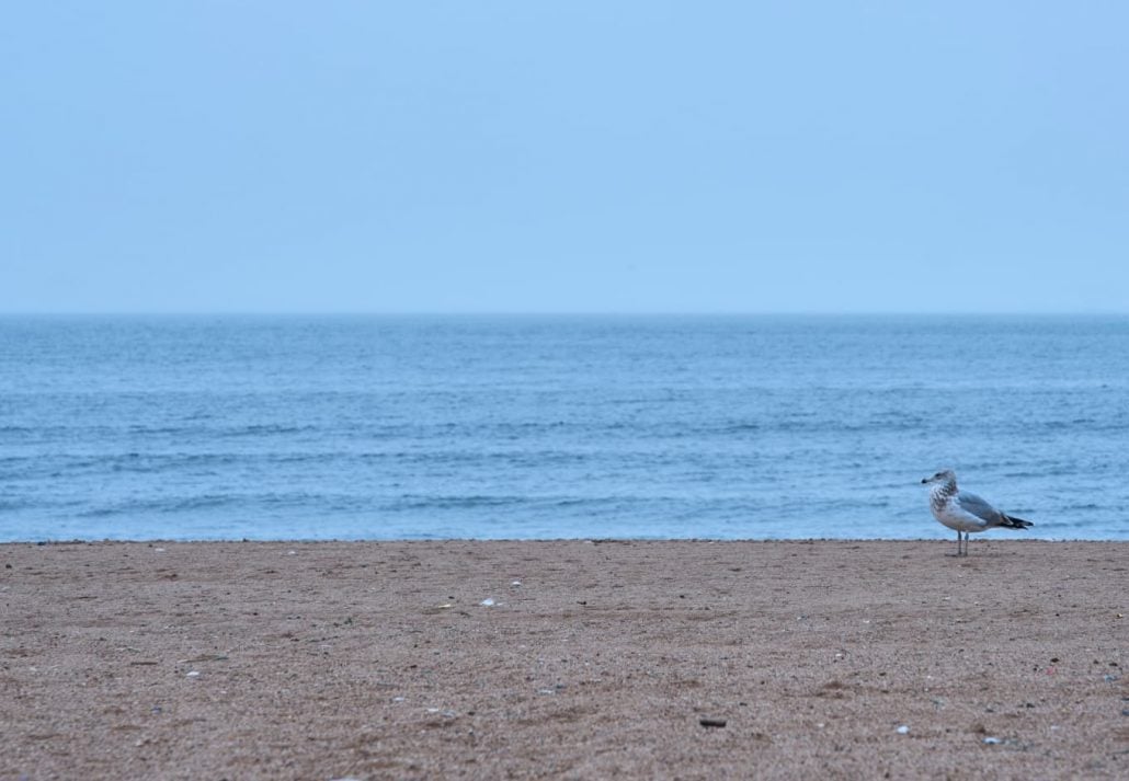 Midland Beach, Staten Island