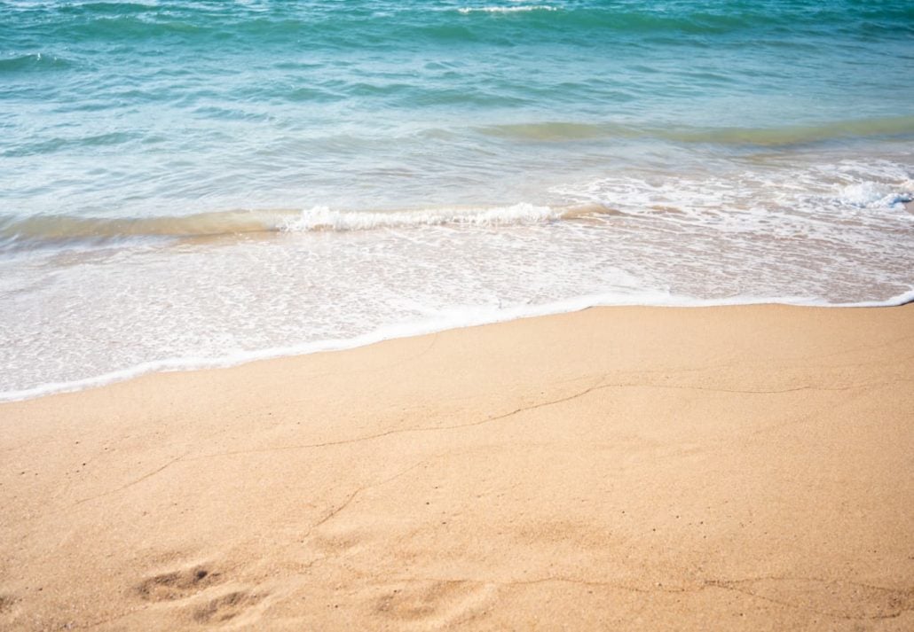 a wave approaching the shore